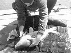 Fa-i poza daca poti...